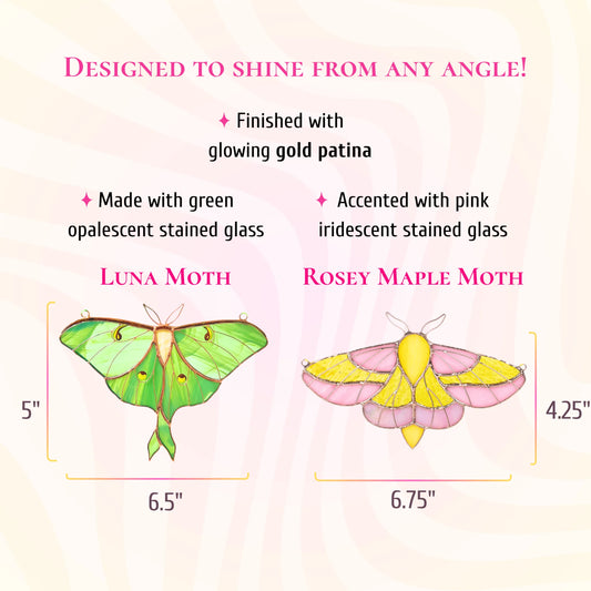 A product comparison graphic showing two moths with dimension labels: a green Luna Moth labeled 5 x 6.5 inches and a rosey maple moth labeled 4.