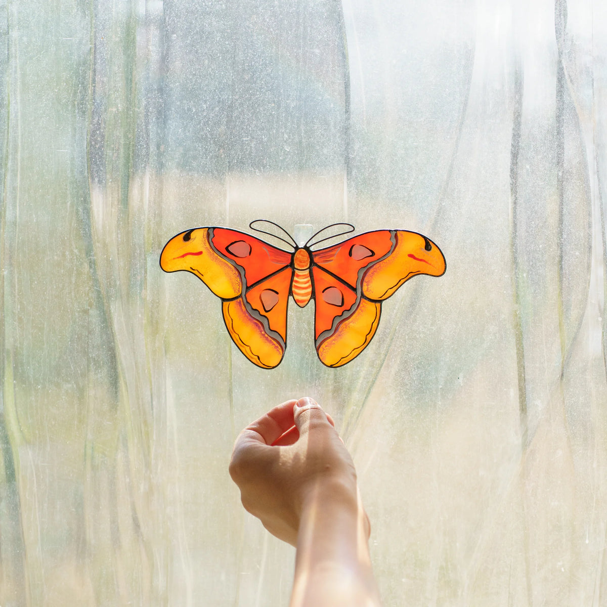 Hand hanging stained glass atlas moth suncatcher on the window