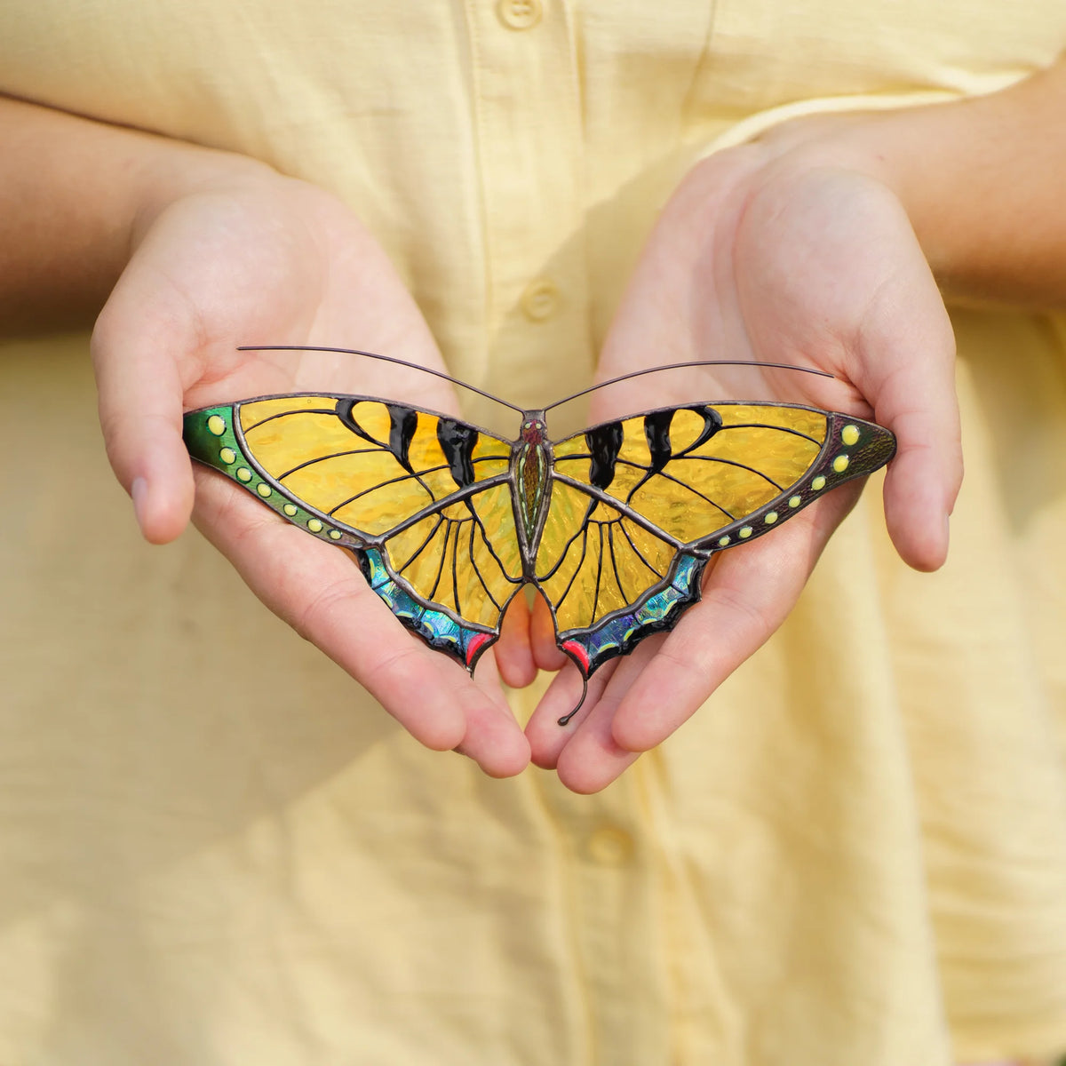 Yellow swallowtail stained glass suncatcher with black stripes and iridescent blue edges held in two hands