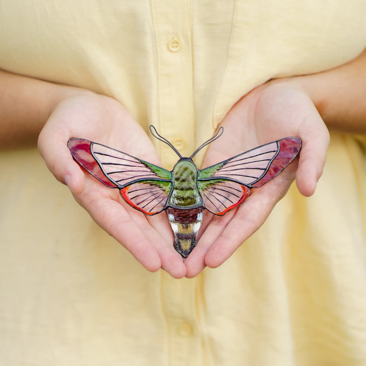 Hummingbird moth suncatcher with clear veined wings, rosy tips and a green body held in open palms