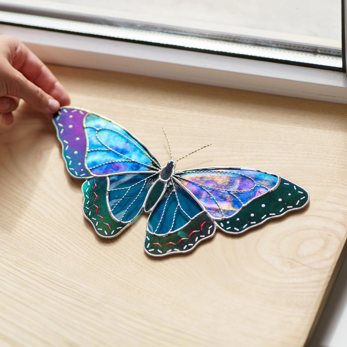 Iridescent purple and green morpho variation laid flat on a sunny wooden sill