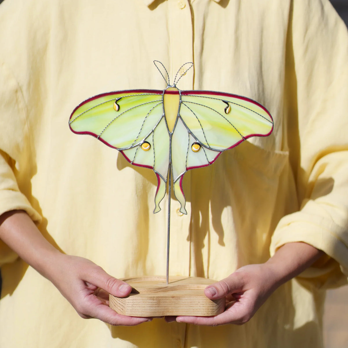 Person holding the luna moth stained glass suncatcher by its engraved wooden base