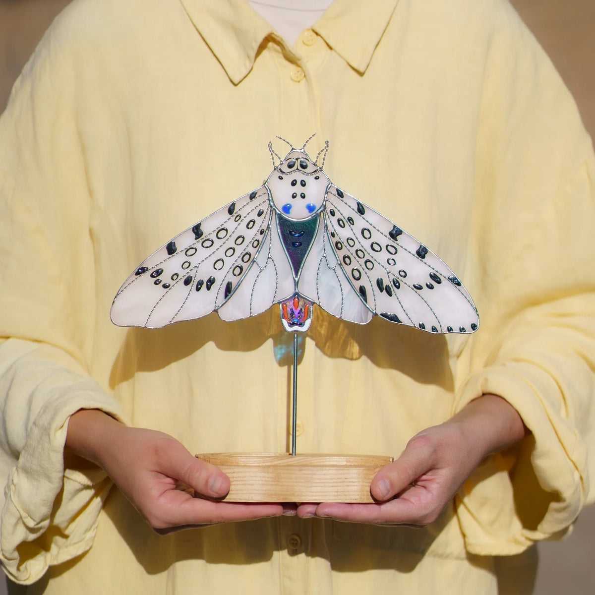 Person holding the giant leopard moth stained glass suncatcher by its engraved wooden base