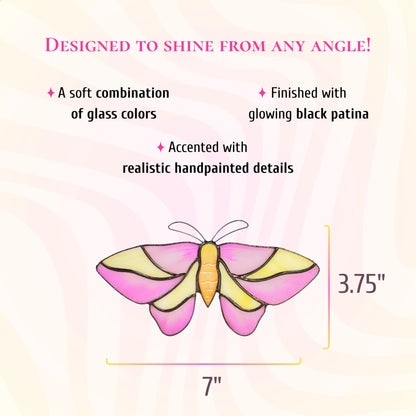 Pink and yellow rosy maple moth stained glass suncatcher with an orange body, 7 inches wide and 3.75 inches tall. Text: designed to shine from any angle. A soft combination of glass colors, finished with glowing black patina and accented with realistic hand-painted details.