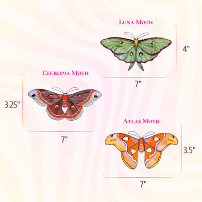 Giant Silk Moths Set · Stained Glass Suncatchers