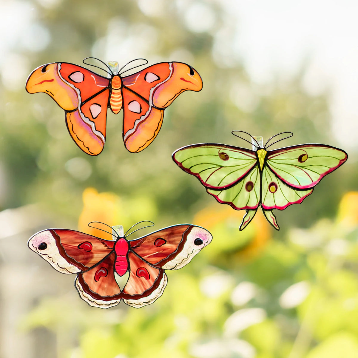 Giant Silk Moths Set · Stained Glass Suncatchers