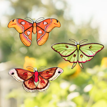 Giant Silk Moths Set · Stained Glass Suncatchers