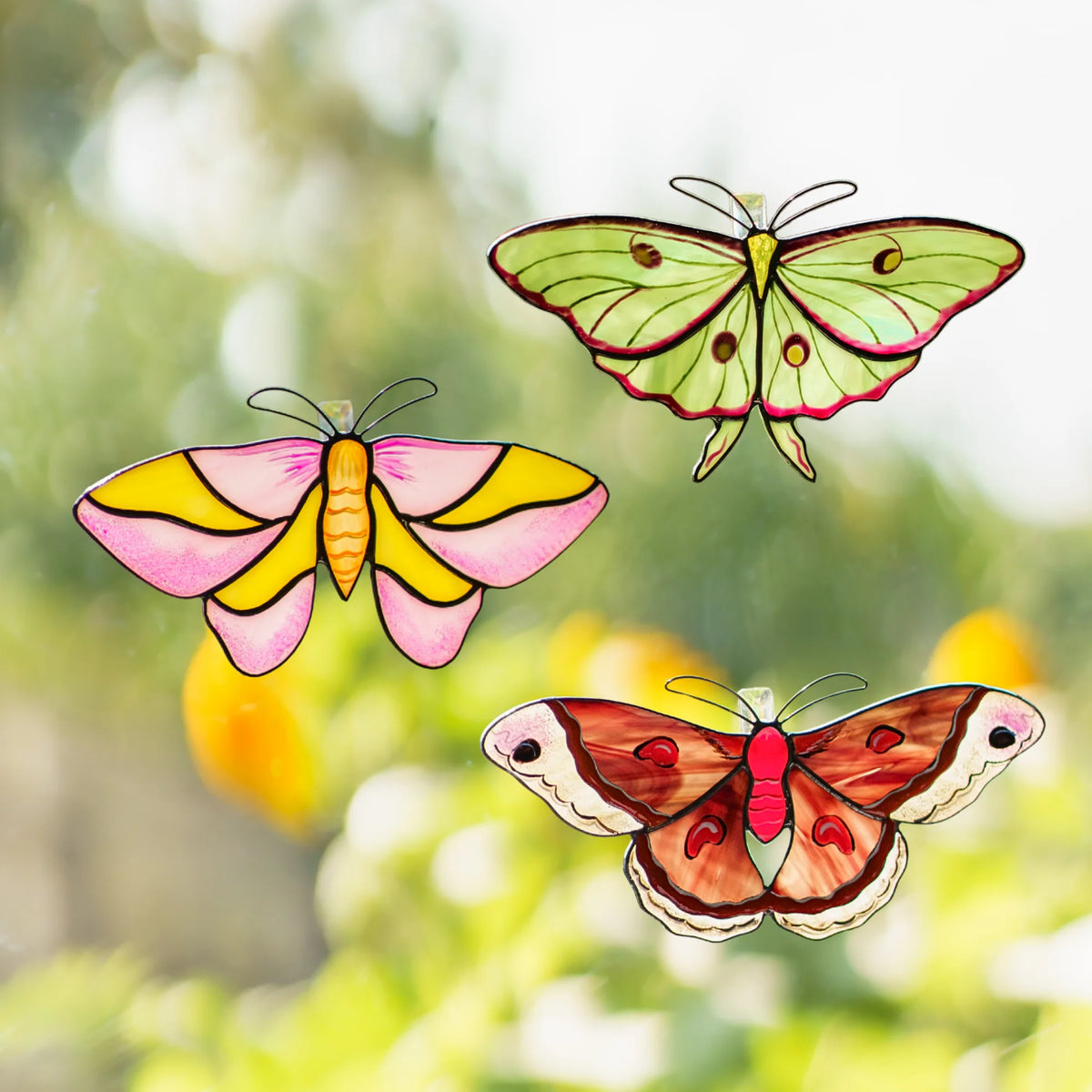 Eastern Woodland Moths Set · Stained Glass Suncatchers