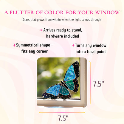Morpho Butterfly · Stained Glass Window Corner
