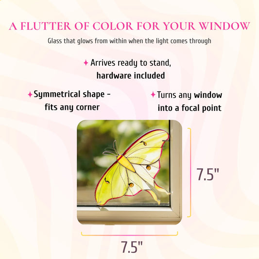 Luna Moth · Stained Glass Window Corner