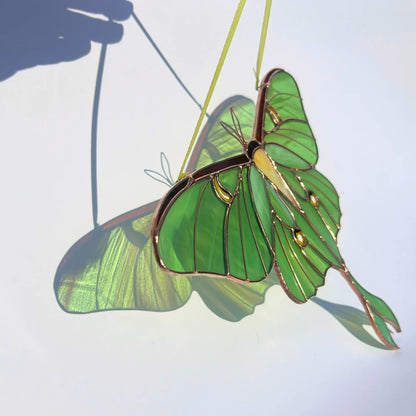 A green butterfly-shaped stained glass window ornament with gold accents and a long tail wing, casting a colorful shadow.