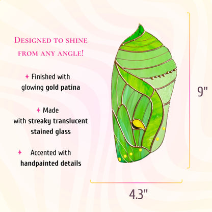 This dimensions infographic indicates the stained glass luna moth chrysalis measures 4.3 inches high by 9 inches wide, finished with gold patina.