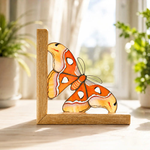 A stunning orange and yellow stained glass atlas moth bookend placed on a sunny windowsill, making a wonderful gift for book lovers.