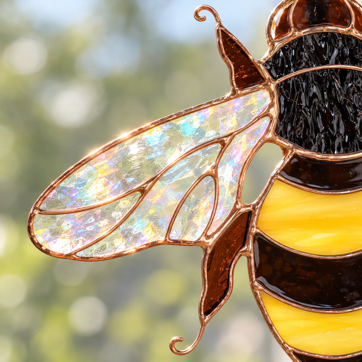 Close-up of the bee's iridescent glass wing, textured black thorax and copper-lined yellow stripes