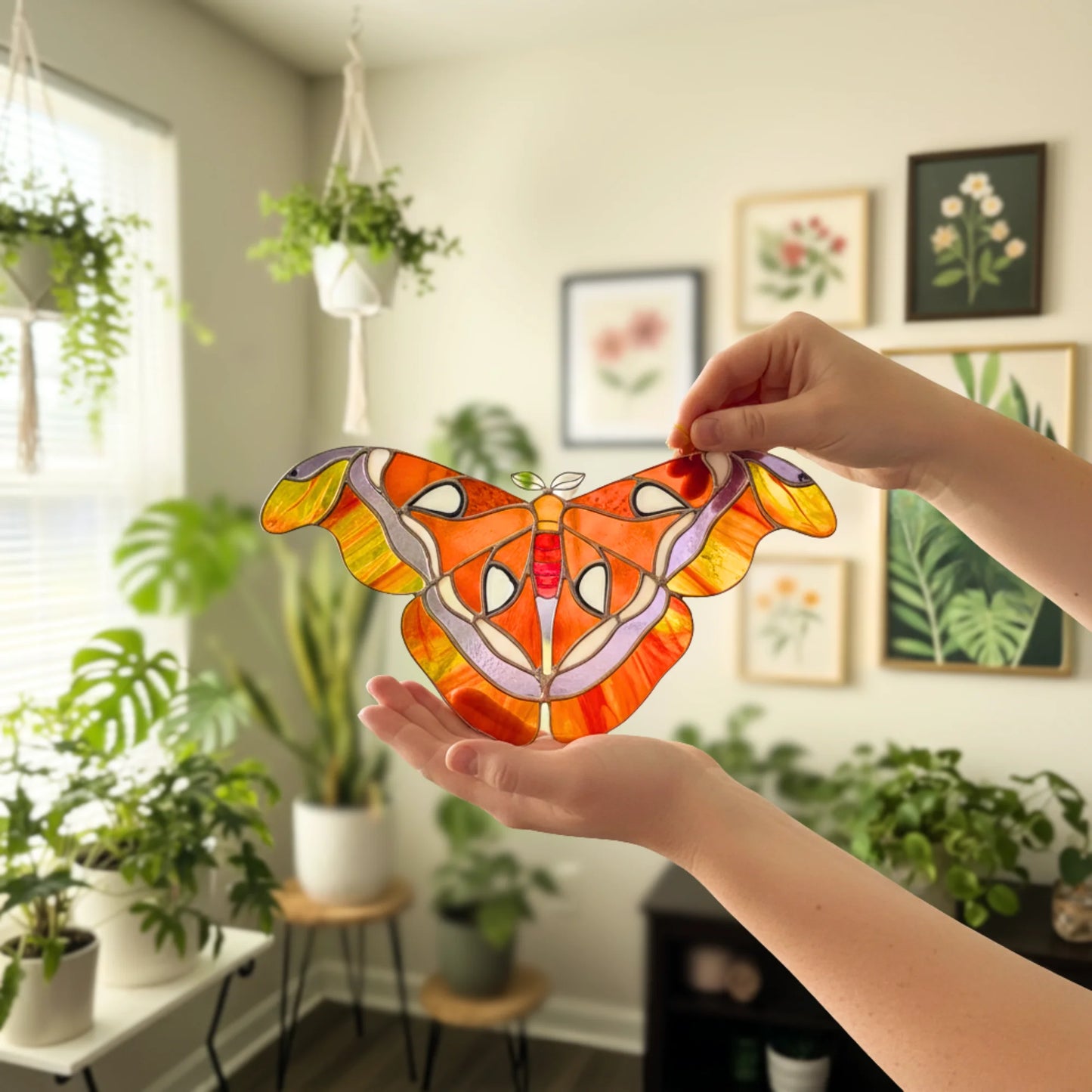 A person holds a colorful stained-glass-style moth suncatcher in front of their hands, with a softly blurred indoor room featuring potted plants and framed botanical prints in the background.