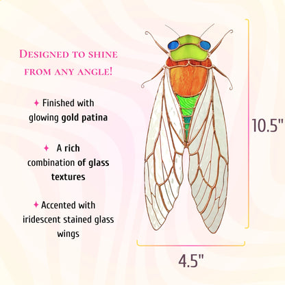 This dimensions infographic shows the stained glass cicada is 10.5 inches tall and 4.5 inches wide, designed to shine brilliantly.