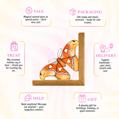 This white and orange stained glass atlas moth promotional infographic emphasizes its unique artistic appeal and presents it as a delightful, gift-ready treasure for nature lovers.