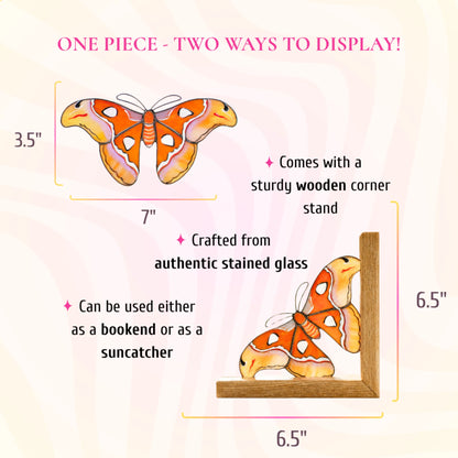 A dimension and feature infographic showing a white and orange stained glass atlas moth measuring 7 inches wide by 3.5 inches tall, which can serve as a suncatcher or a bookend.