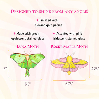 A product comparison graphic showing two moths with dimension labels: a green Luna Moth labeled 5 x 6.5 inches and a rosey maple moth labeled 4.