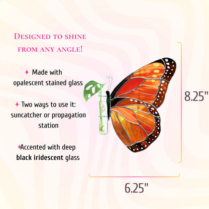 This dimensions infographic shows the stained glass monarch butterfly with prpagation station measures 8.25 inches tall and 6.25 inches wide.