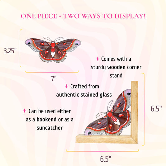 A dimension and feature infographic showing a brown and red stained glass moth measuring 7 inches wide by 3.25 inches tall, which can serve as a suncatcher or a bookend.