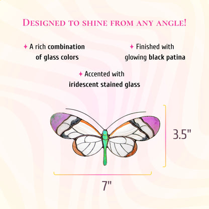 Glasswing butterfly stained glass suncatcher with clear white wings, violet tips and a green body, 7 inches wide and 3.5 inches tall. Text: designed to shine from any angle. A rich combination of glass colors, finished with glowing black patina and accented with iridescent stained glass.