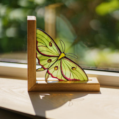 A stunning green stained glass luna moth bookend placed on a sunny windowsill, making a wonderful gift for book lovers.