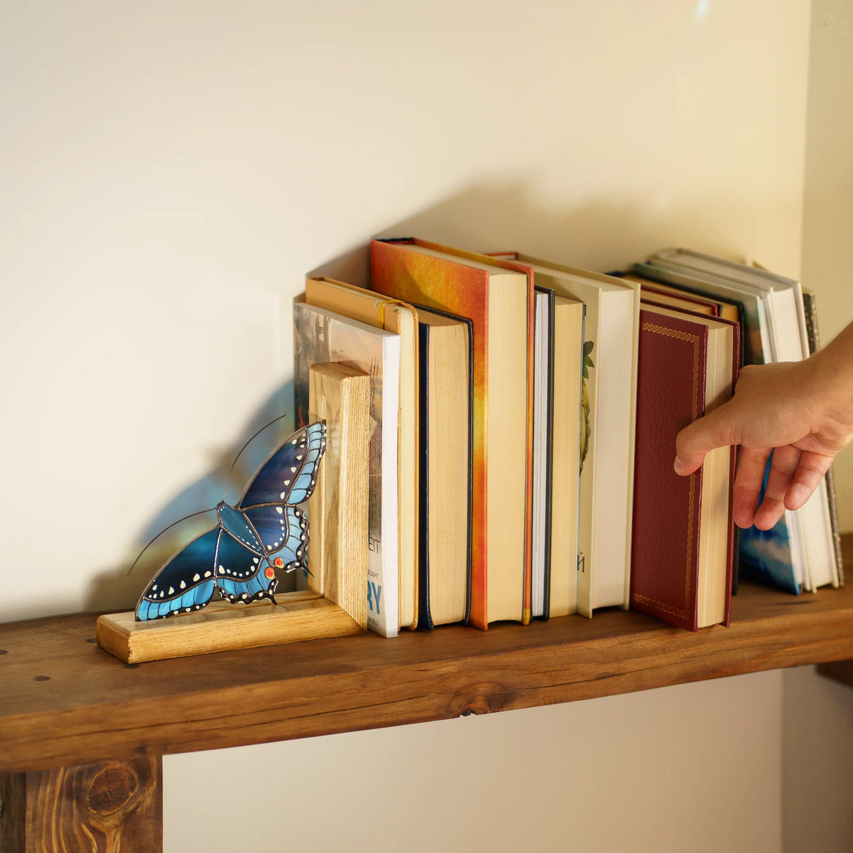 A hand is holding a book next to a decorative bookshelf prop featuring a blue stained glass butterfly mounted on a wooden base, with a row of books arranged on a wooden shelf against a plain wall.