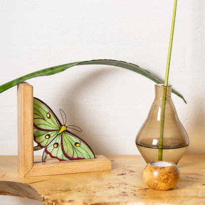 A decorative stained glass butterfly mounted in a light wood frame, styled on a wooden surface next to a glass vase with a green stem against a white wall.
