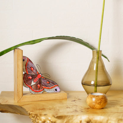 A red stained glass moth bookend styled on a wooden shelf next to a vase with a plant stem, serving as an exquisite present.