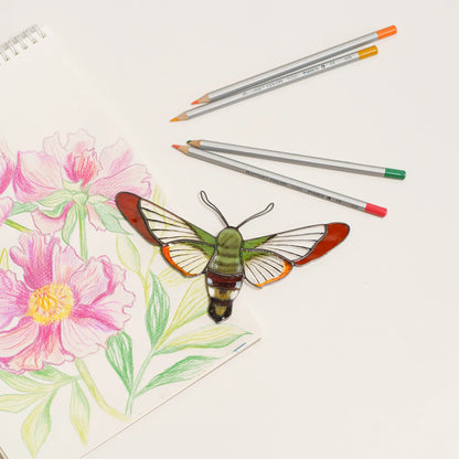 Hummingbird moth stained glass suncatcher with clear veined wings and a green body, on a floral sketchbook