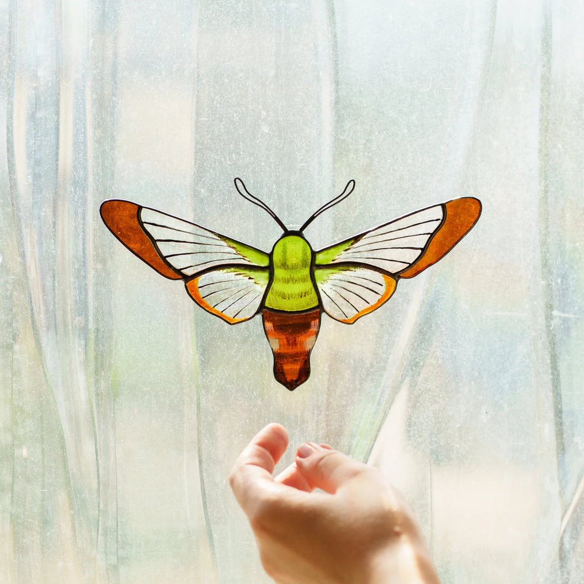 Hand reaching up to a hummingbird moth suncatcher hanging in a sunlit window, clear wings glowing
