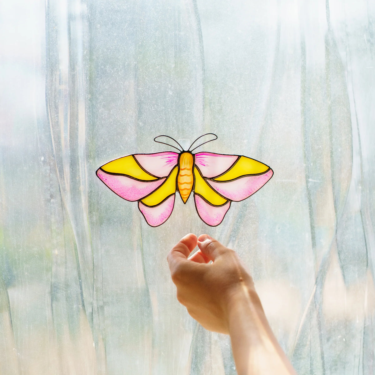 Rosy maple moth suncatcher on a bright window, pink and yellow glass glowing above a reaching hand