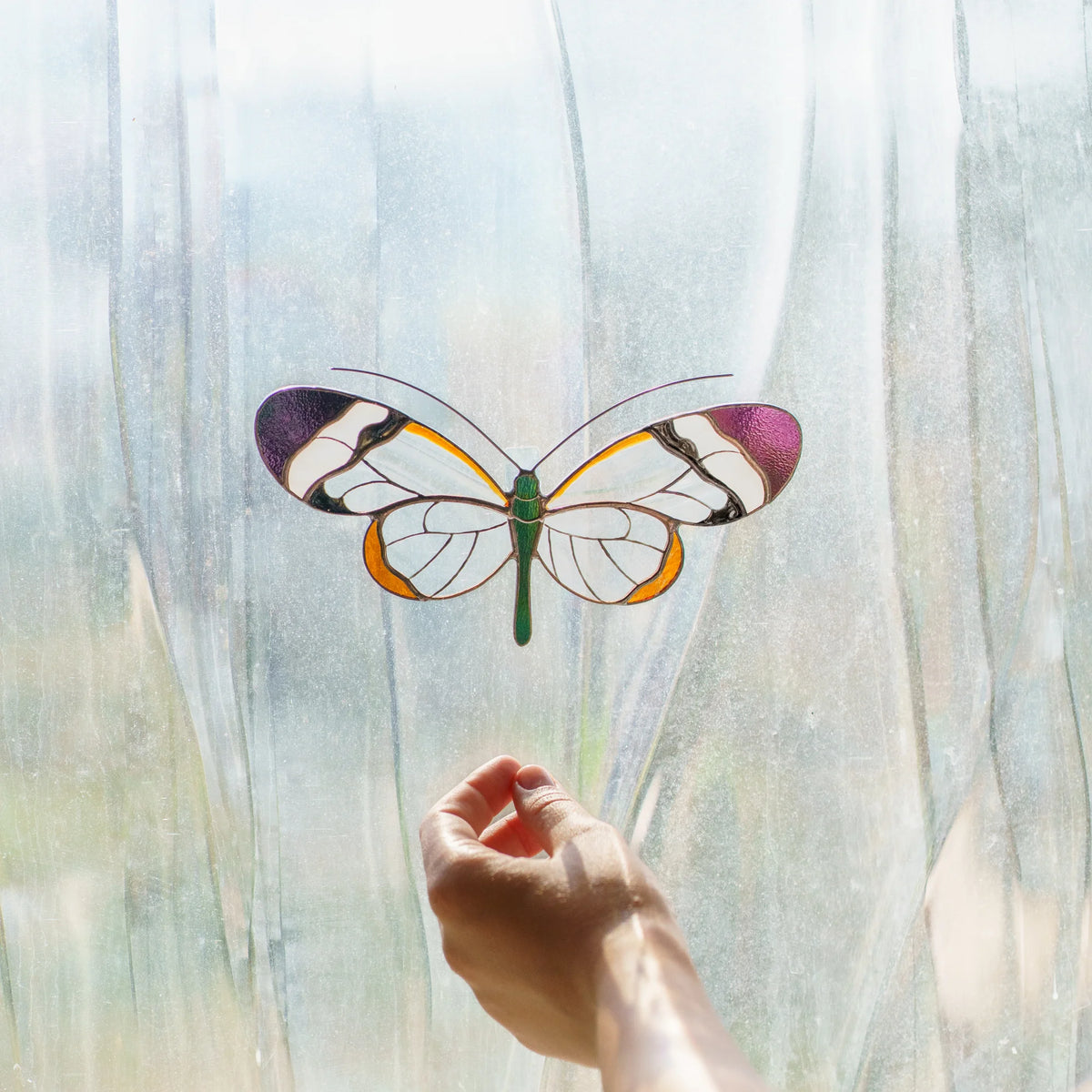 Glasswing butterfly suncatcher in a sunny window, daylight passing through its clear wings, hand below