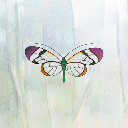 Glasswing butterfly stained glass suncatcher on a frosted window, purple and orange glass lit by daylight