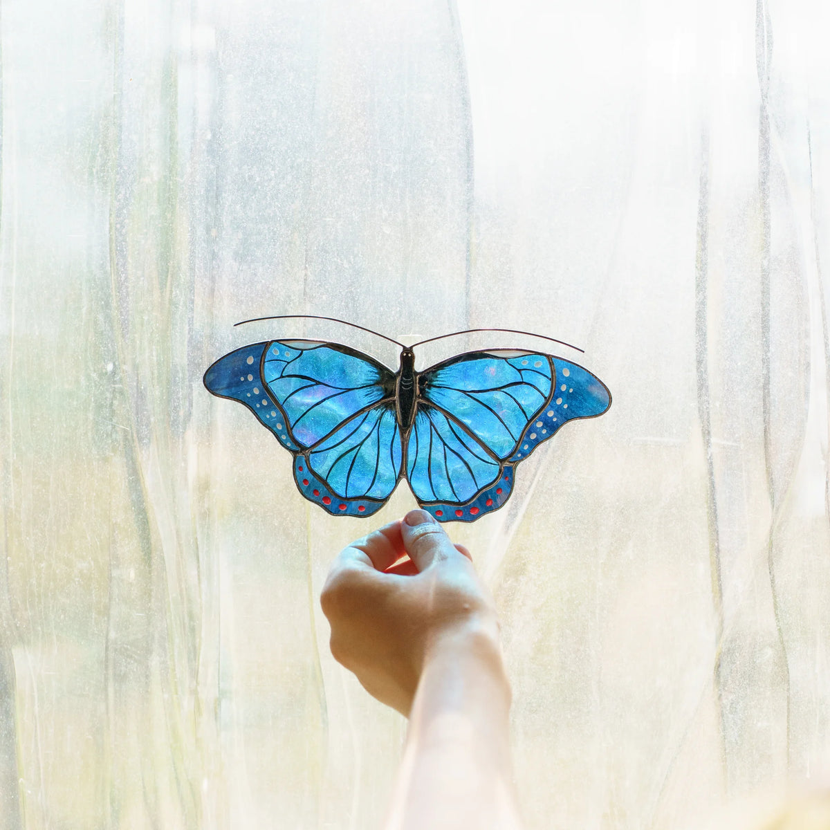 Blue morpho suncatcher held up to a bright window, iridescent glass shimmering in daylight
