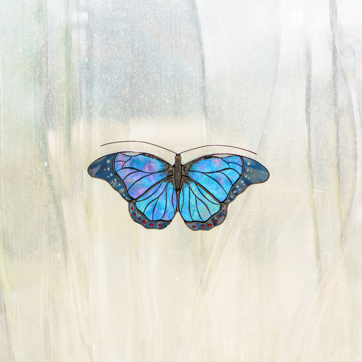 Blue morpho stained glass suncatcher on a window, iridescent blue and violet glass lit by the sun
