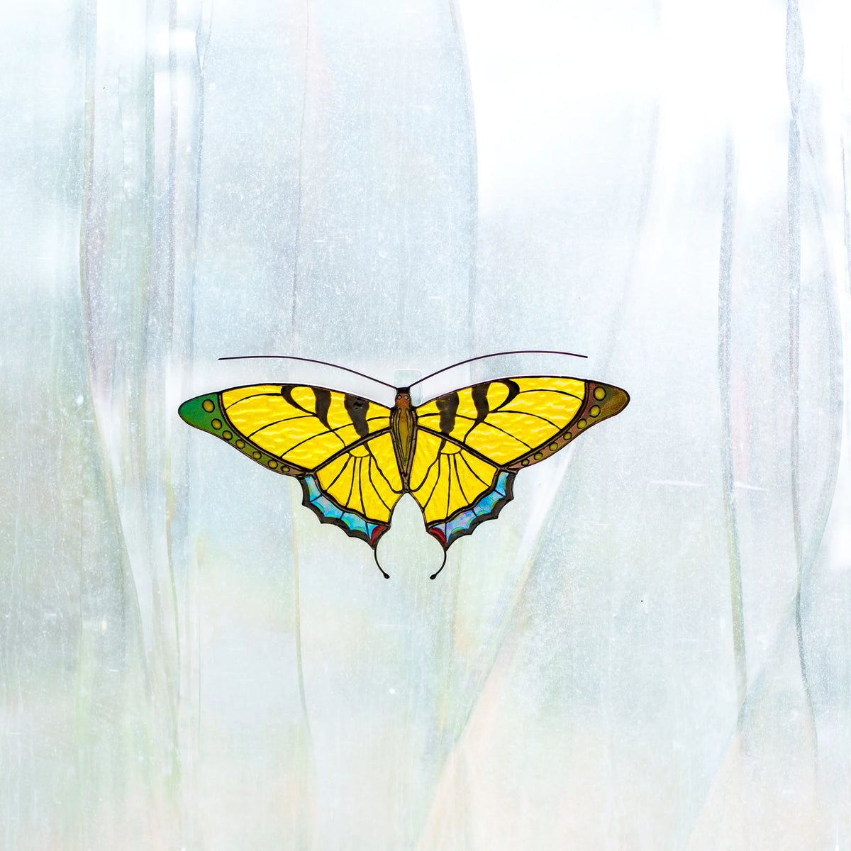 Yellow swallowtail butterfly suncatcher on a frosted window, textured yellow glass glowing in daylight