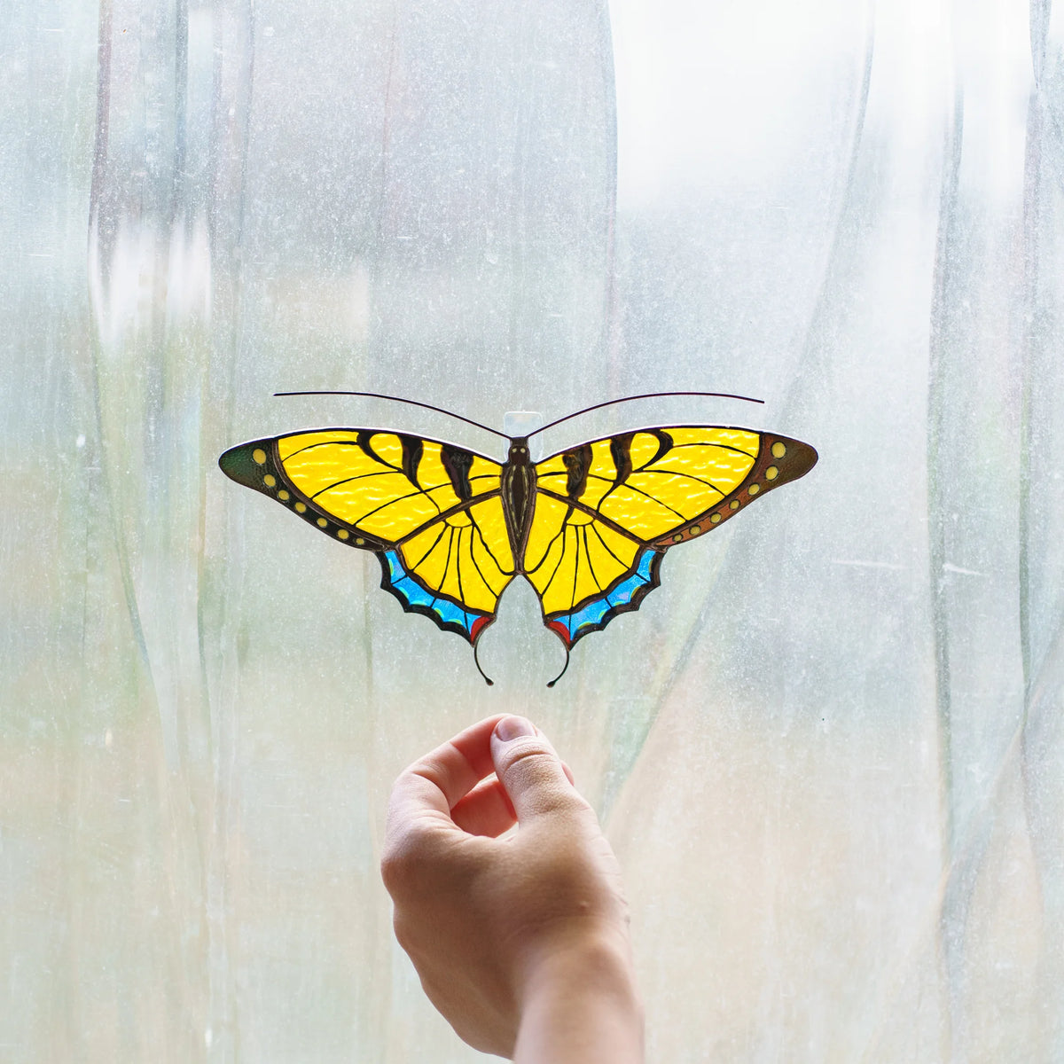 Yellow swallowtail stained glass suncatcher on a frosted window, a hand reaching up toward its curled tails