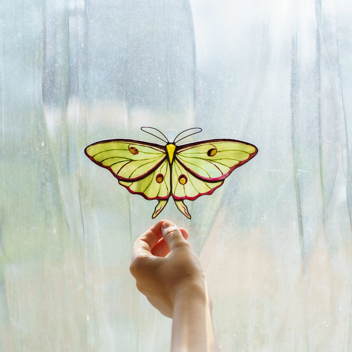 Luna moth stained glass suncatcher in pale green glass with crimson edges, a hand reaching up in window light
