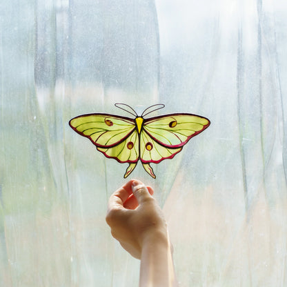 Luna moth stained glass suncatcher in pale green glass with crimson edges, a hand reaching up in window light
