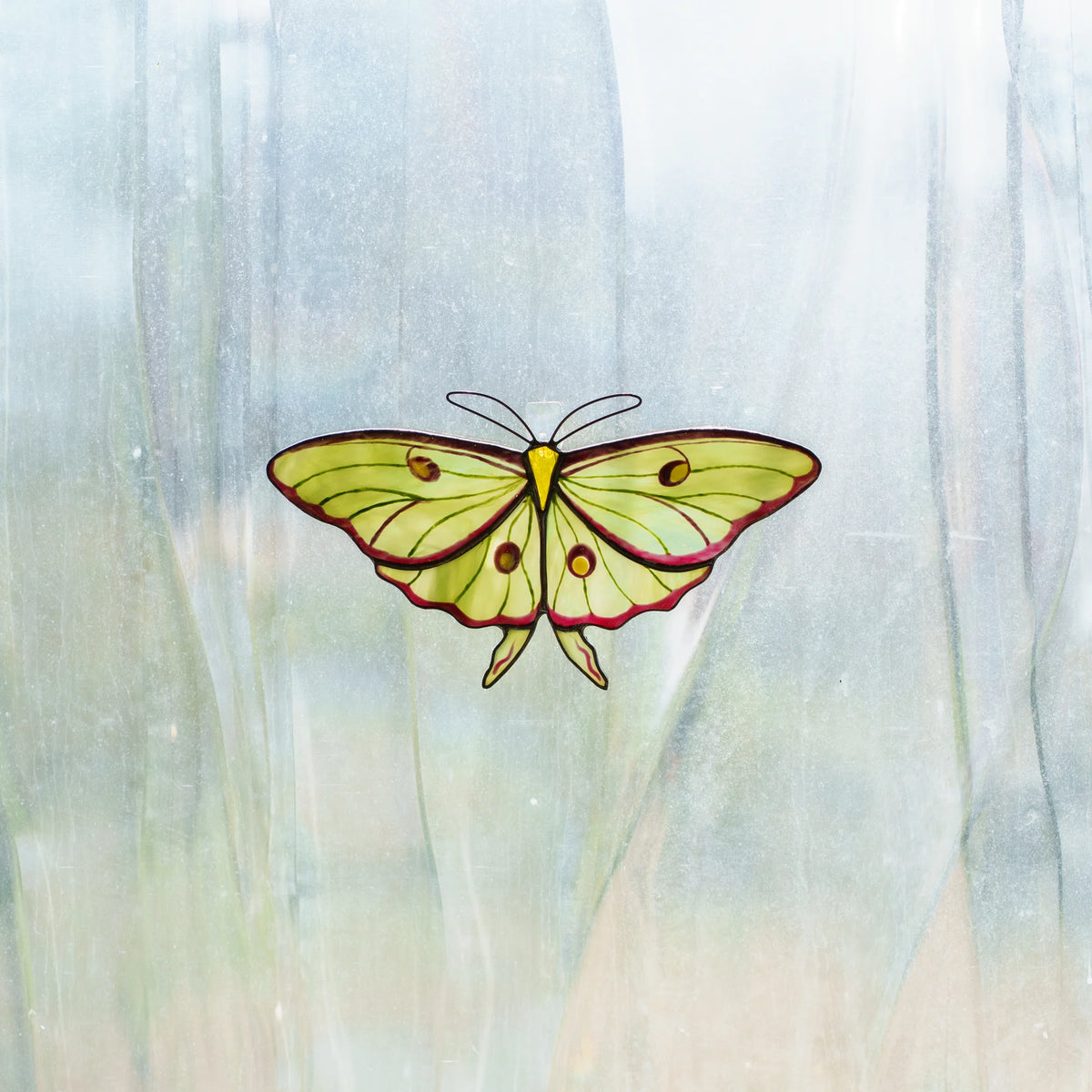 Luna moth suncatcher on a frosted window, green glass and long tails glowing in soft daylight