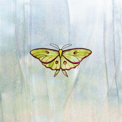 Luna moth suncatcher on a frosted window, green glass and long tails glowing in soft daylight
