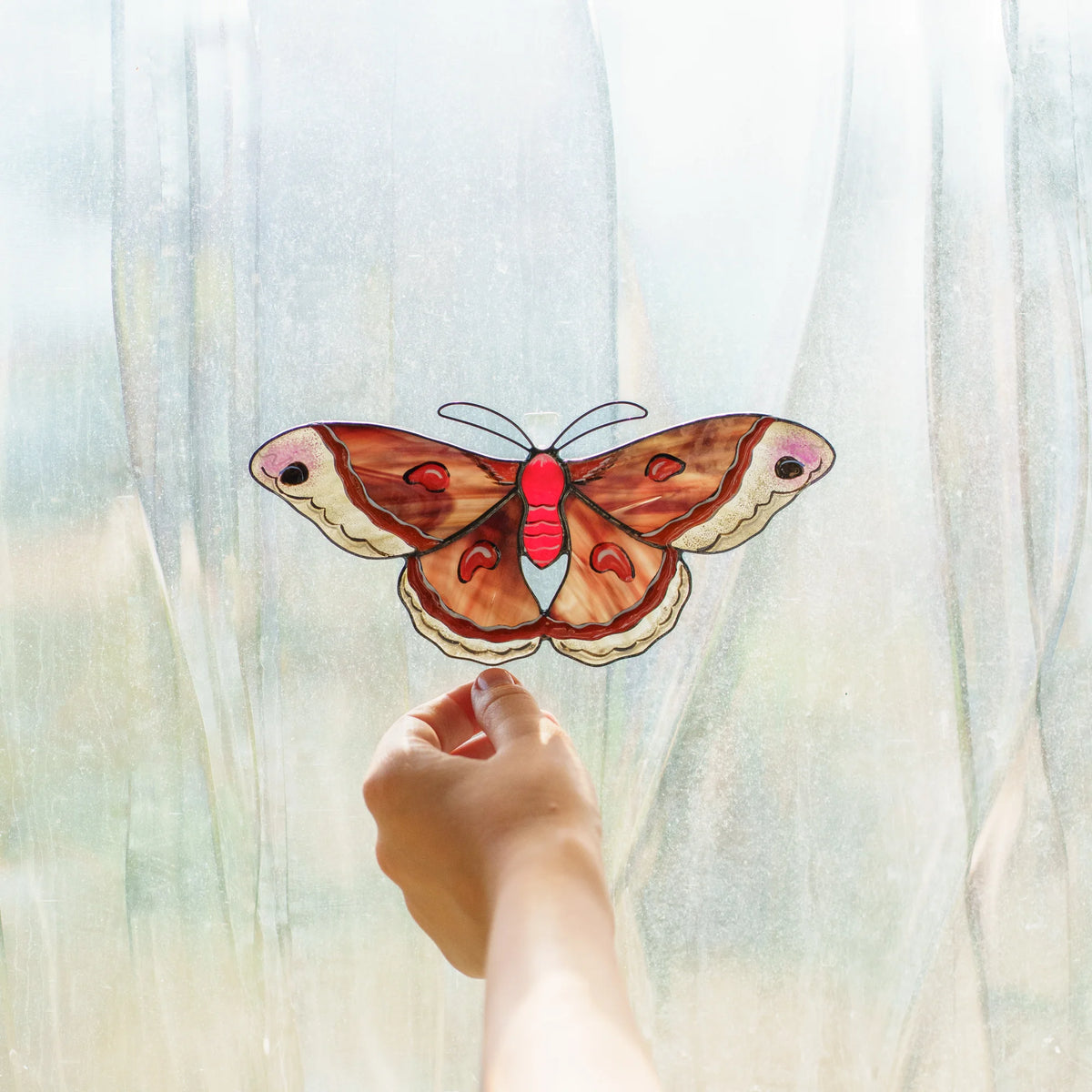 Cecropia moth stained glass suncatcher glowing in a bright window as a hand reaches toward it
