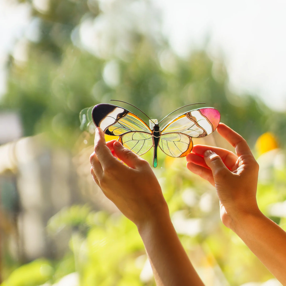 Hands holding a glasswing butterfly suncatcher up to the light, clear wings glowing over a garden view