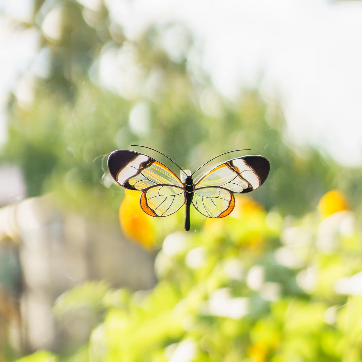 Glasswing butterfly stained glass suncatcher on a garden window, its clear glass wings full of daylight