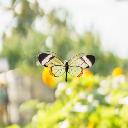 Glasswing butterfly stained glass suncatcher on a garden window, its clear glass wings full of daylight