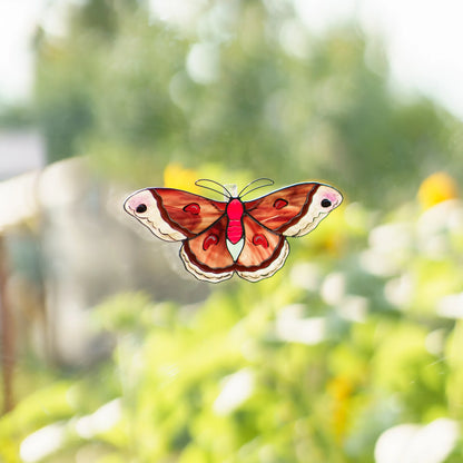 Cecropia moth stained glass suncatcher on a window, red and cream glass glowing against garden greenery