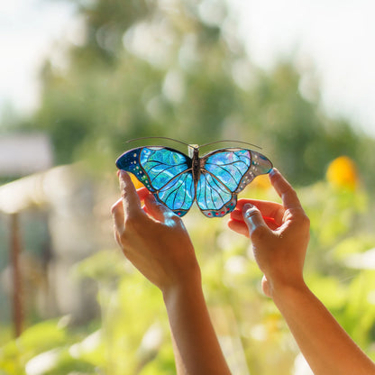 Blue morpho suncatcher held up to sunlight, iridescent glass casting blue light onto the hands