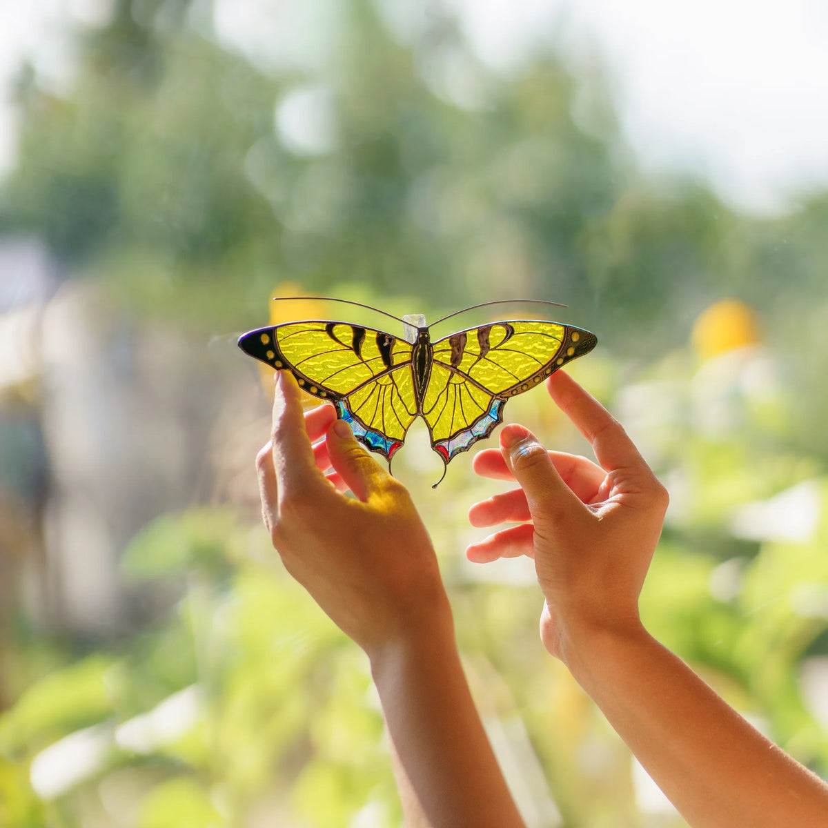 Hands holding a yellow swallowtail suncatcher up to a sunny window, yellow glass glowing in daylight